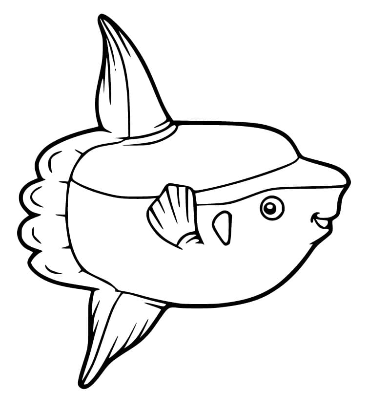 Cute Sunfish