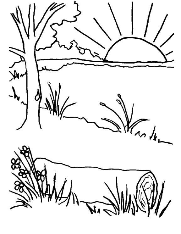 Dawn By the Lake Coloring Page