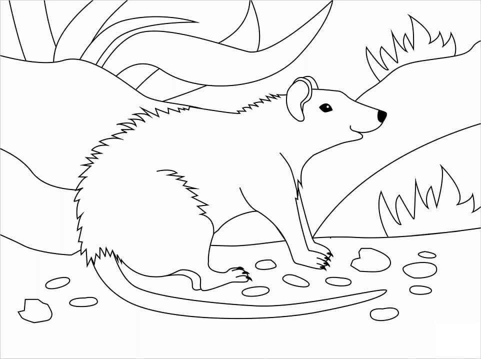 Easy Rat Coloring Page