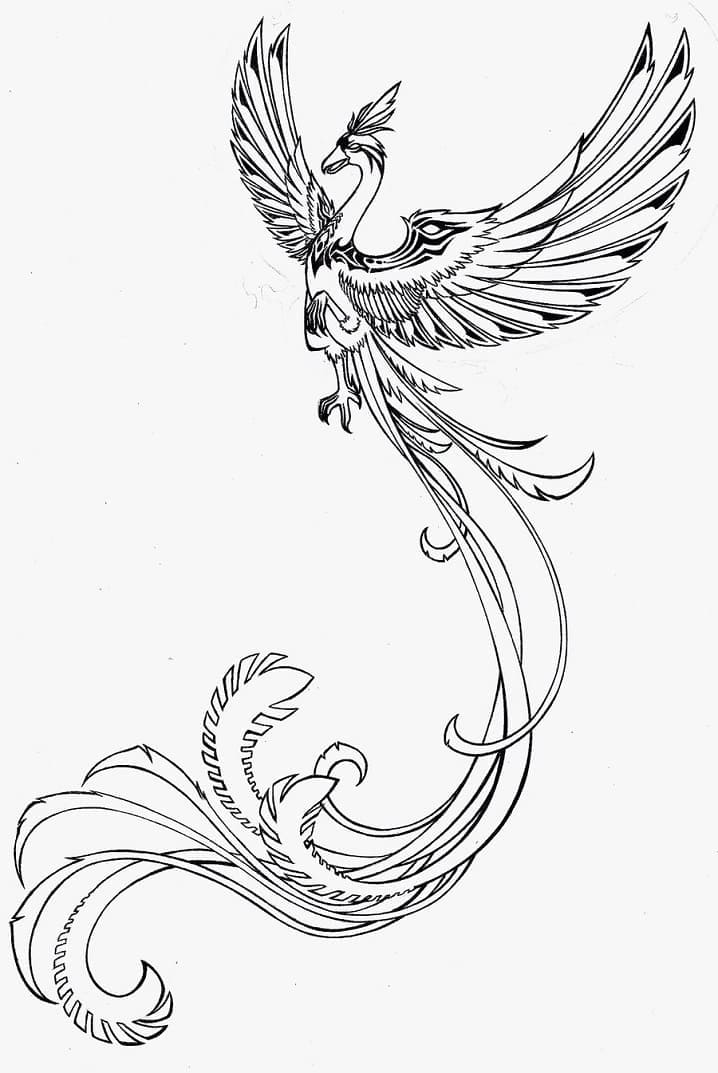 Fantasy Phoenix Coloring Page
