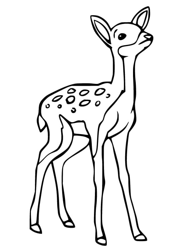 Fawn Baby Deer Coloring Page
