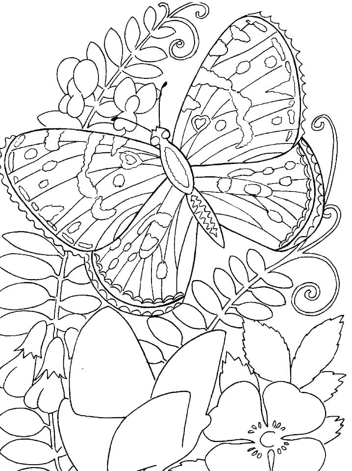 Flowers and Butterfly Coloring Page