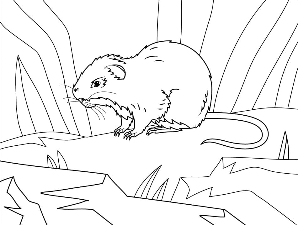 Greater Cane Rat Coloring Page