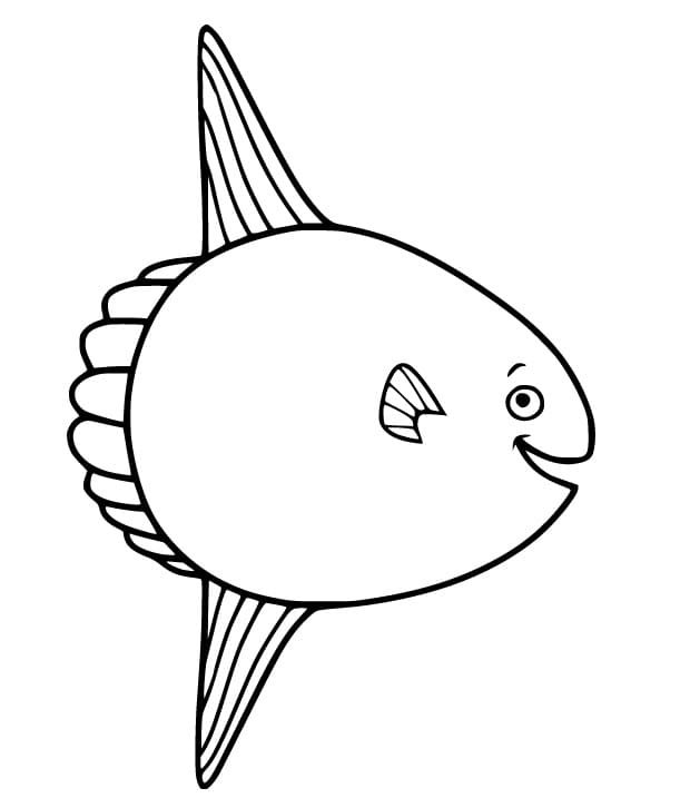 Happy Sunfish