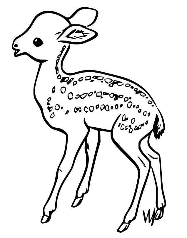 Little Fawn Coloring Page