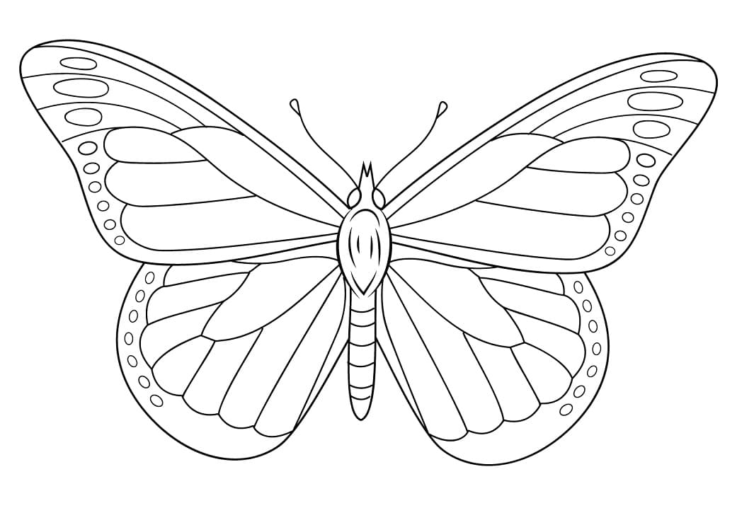 Monarch Butterfly 1 Coloring Page