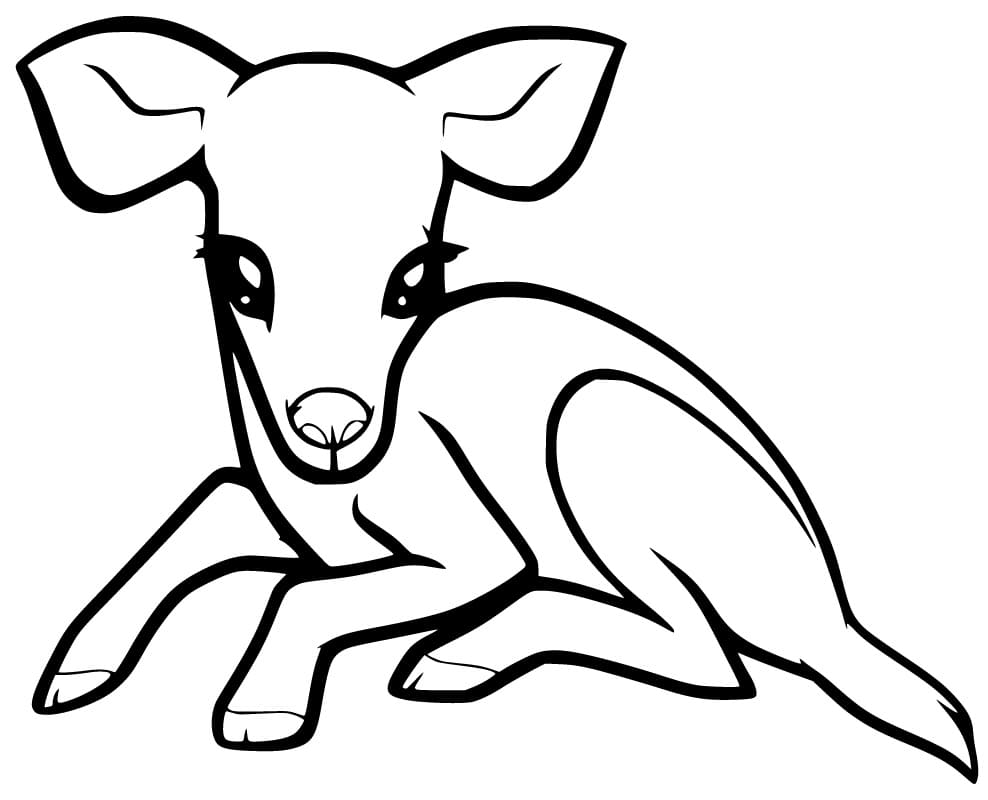 Newborn Fawn Coloring Page