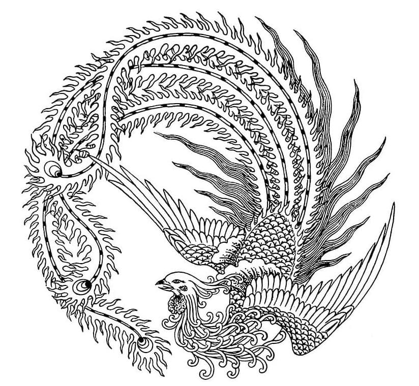 Phoenix for Adult Coloring Page