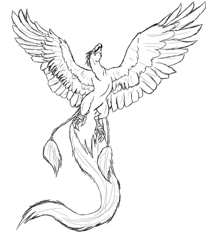 Phoenix is Flying Coloring Page