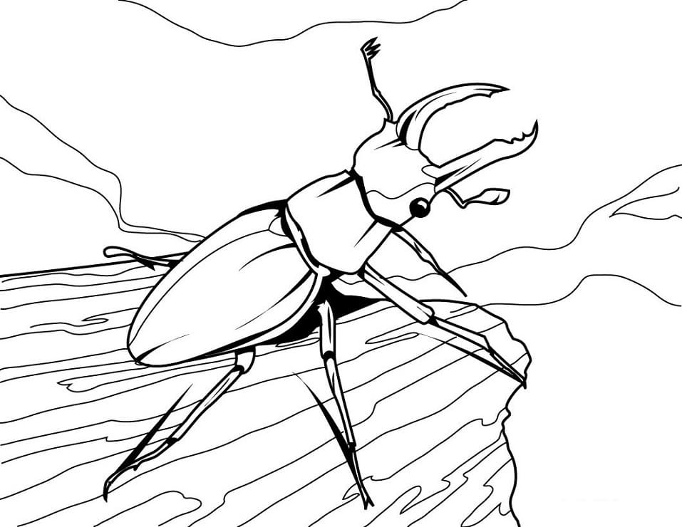 Print Stag Beetle
