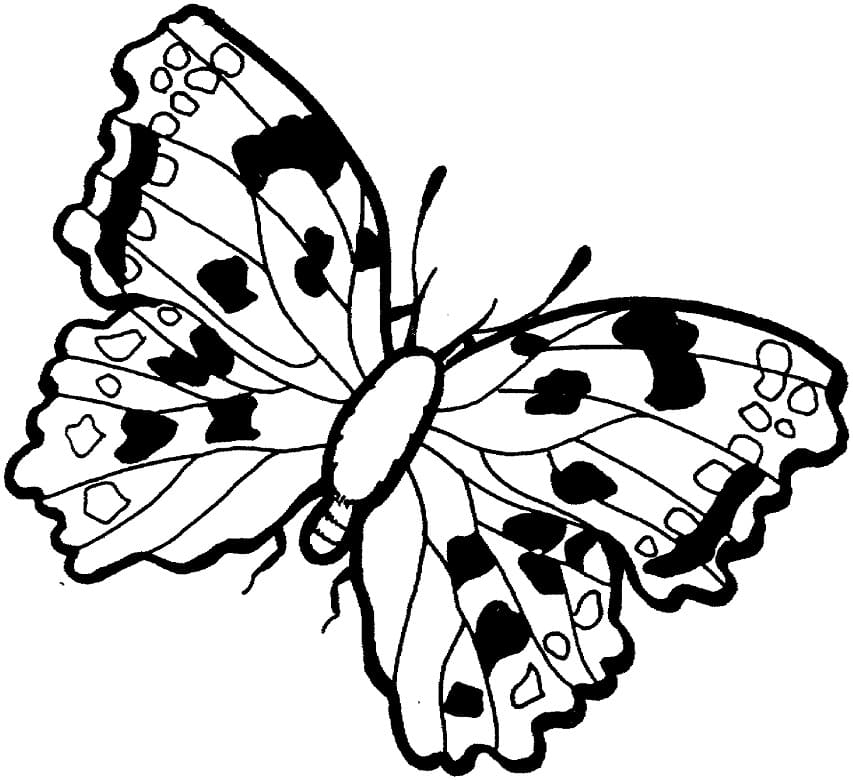 Printable Butterfly Coloring Page