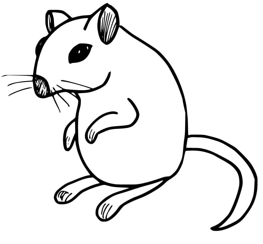 Rat to Print Coloring Page