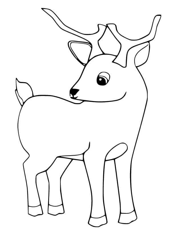 Simple Fawn Coloring Page