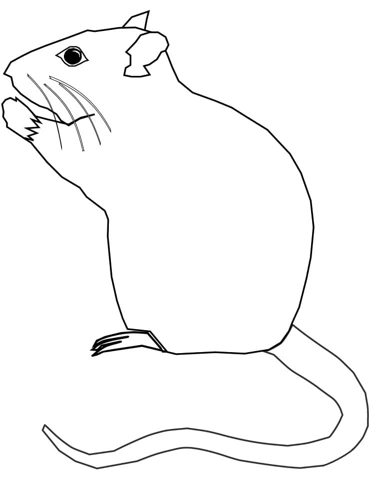 Simple Rat Coloring Page