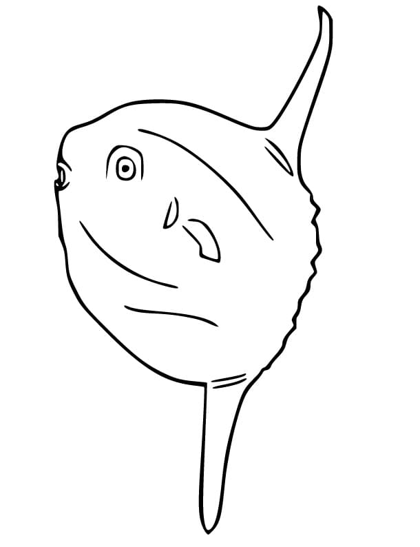 Simple Sunfish