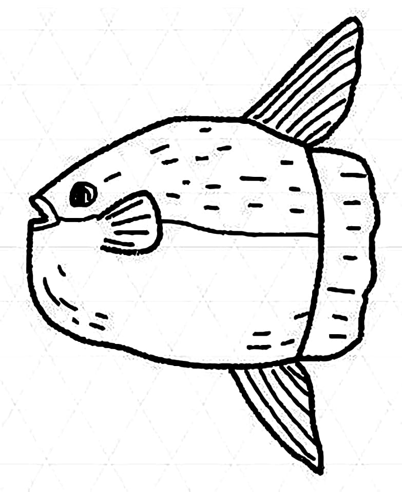 Sunfish to Print