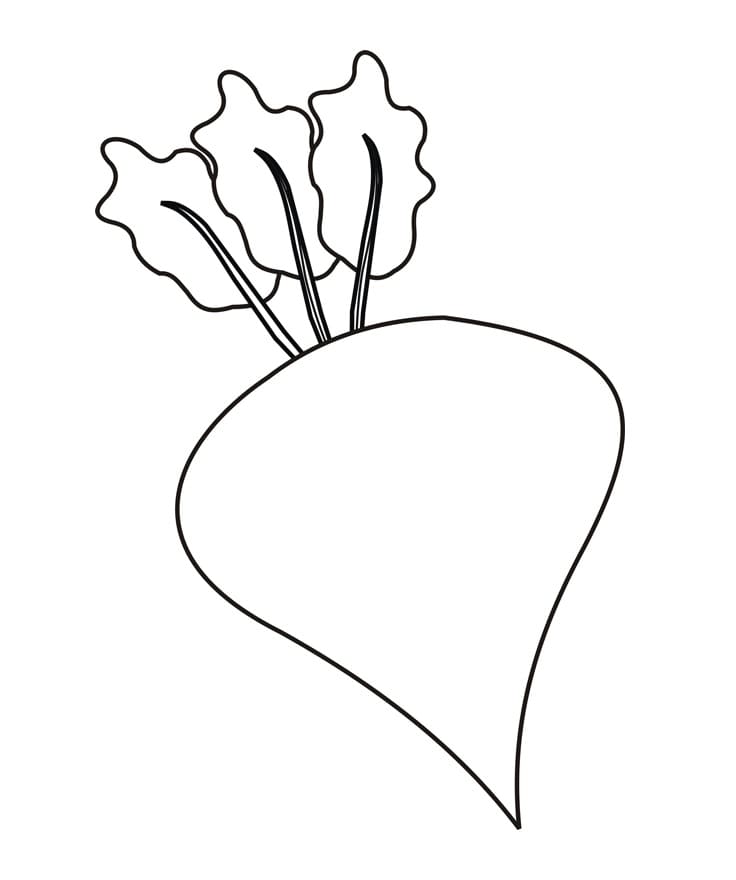 Very Easy Beetroot Coloring Page