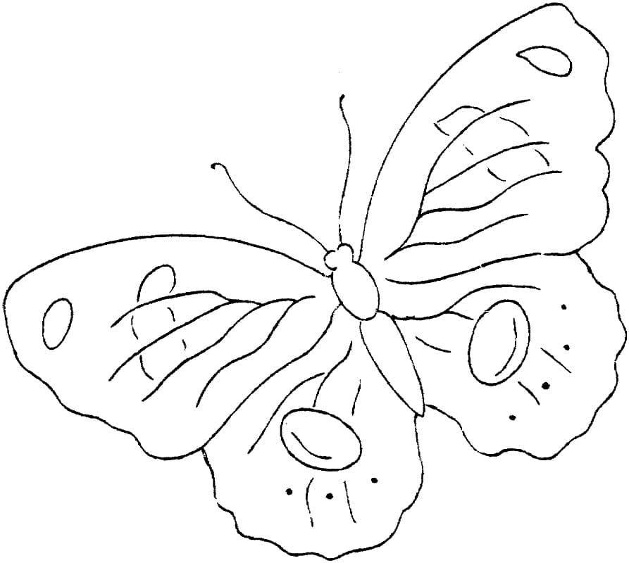 Very Easy Butterfly Coloring Page