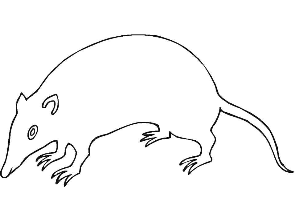 Very Easy Rat Coloring Page