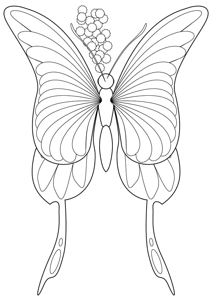 Wonderful Butterfly Coloring Page