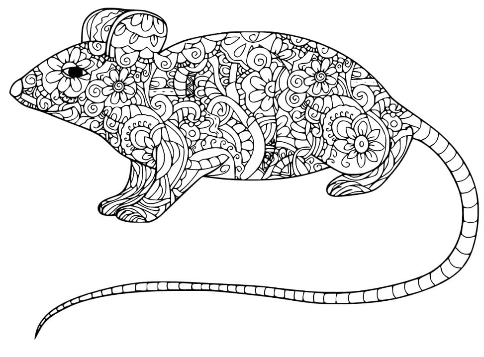 Zentangle Rat Coloring Page