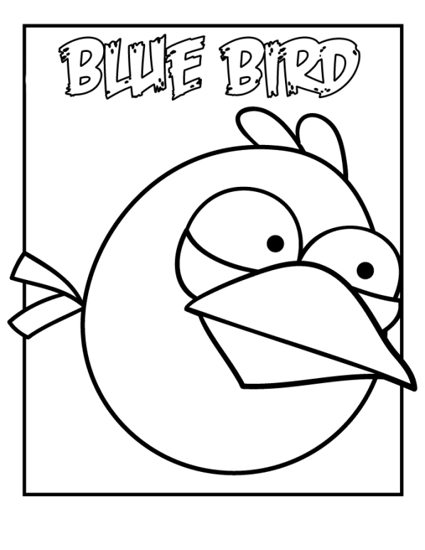 Big Blue Bird