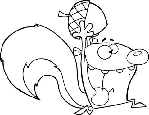 Crazy Cartoon Squirre With Acorn