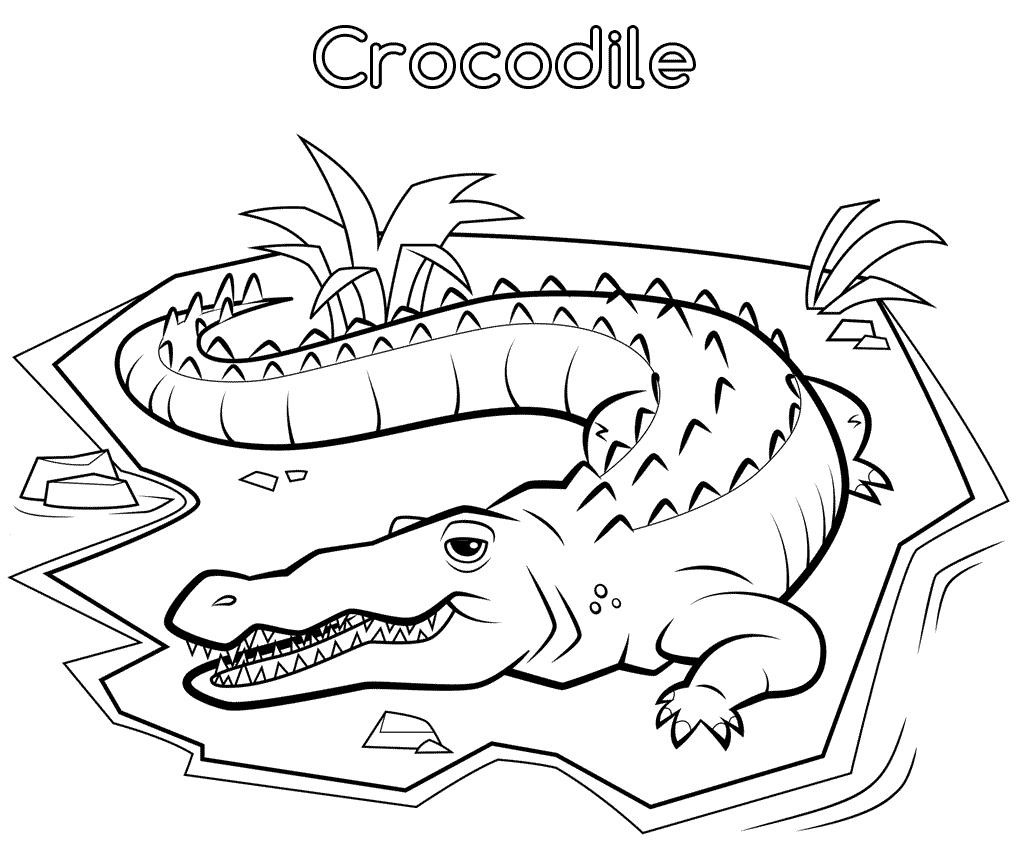 Crocodile Animal Jam