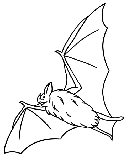 Free Printable Bat For Everyone