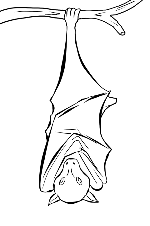 Bat For You
