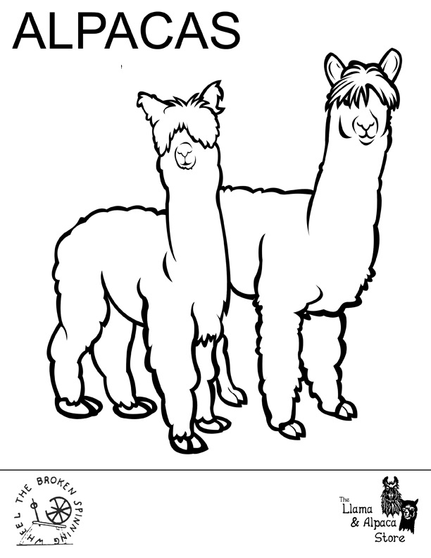 A Pair Of Alpaca Coloring Coloring Page