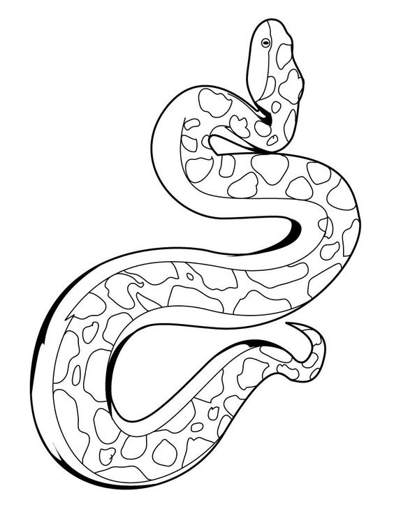 Anaconda Coloring Pages Resting