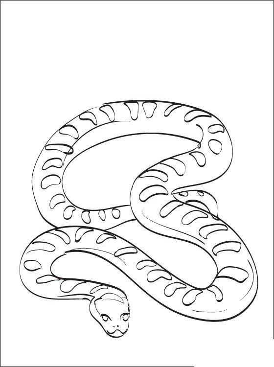 Anaconda Coloring Pages finding Food