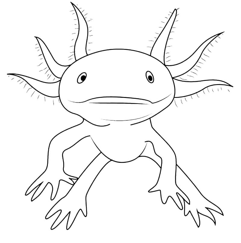 Axolotl Printable Coloring Page