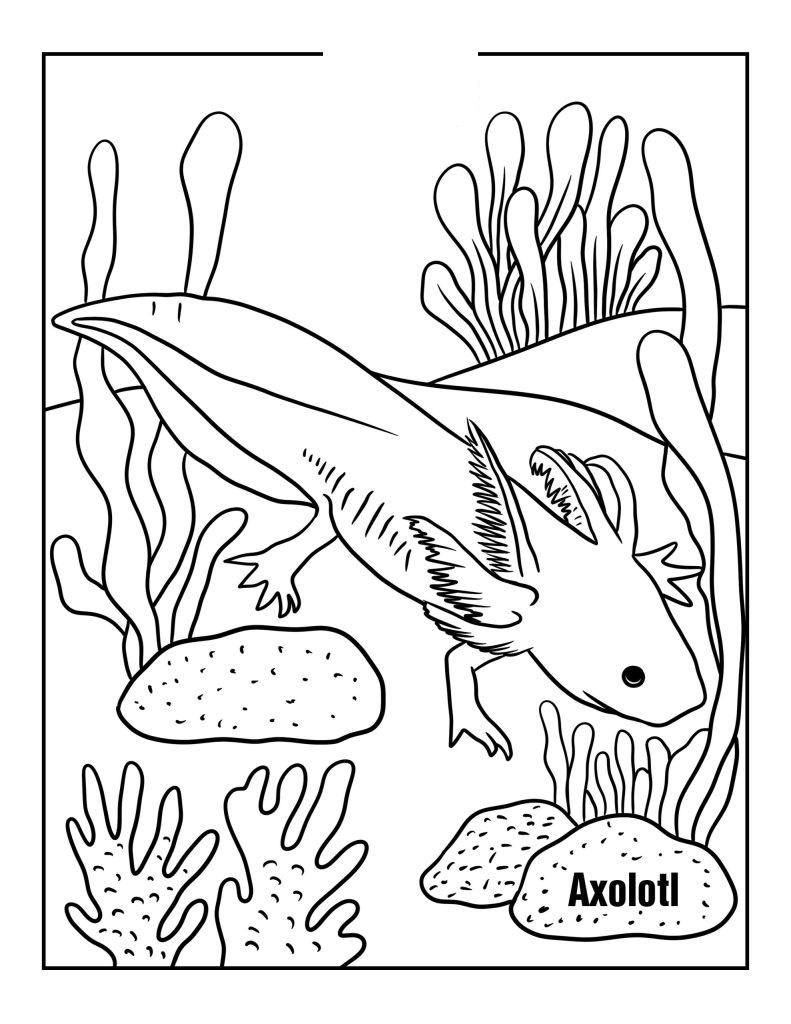 Axolotl Wooper Scaled