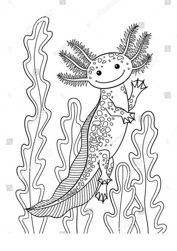 Axolotl Wooper Coloring