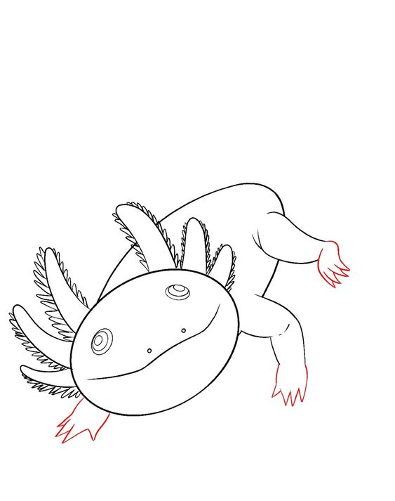 Draw Axolotl Wooper