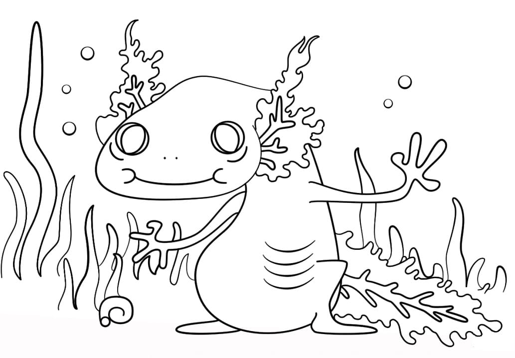 Cartoon Axolotl Wooper