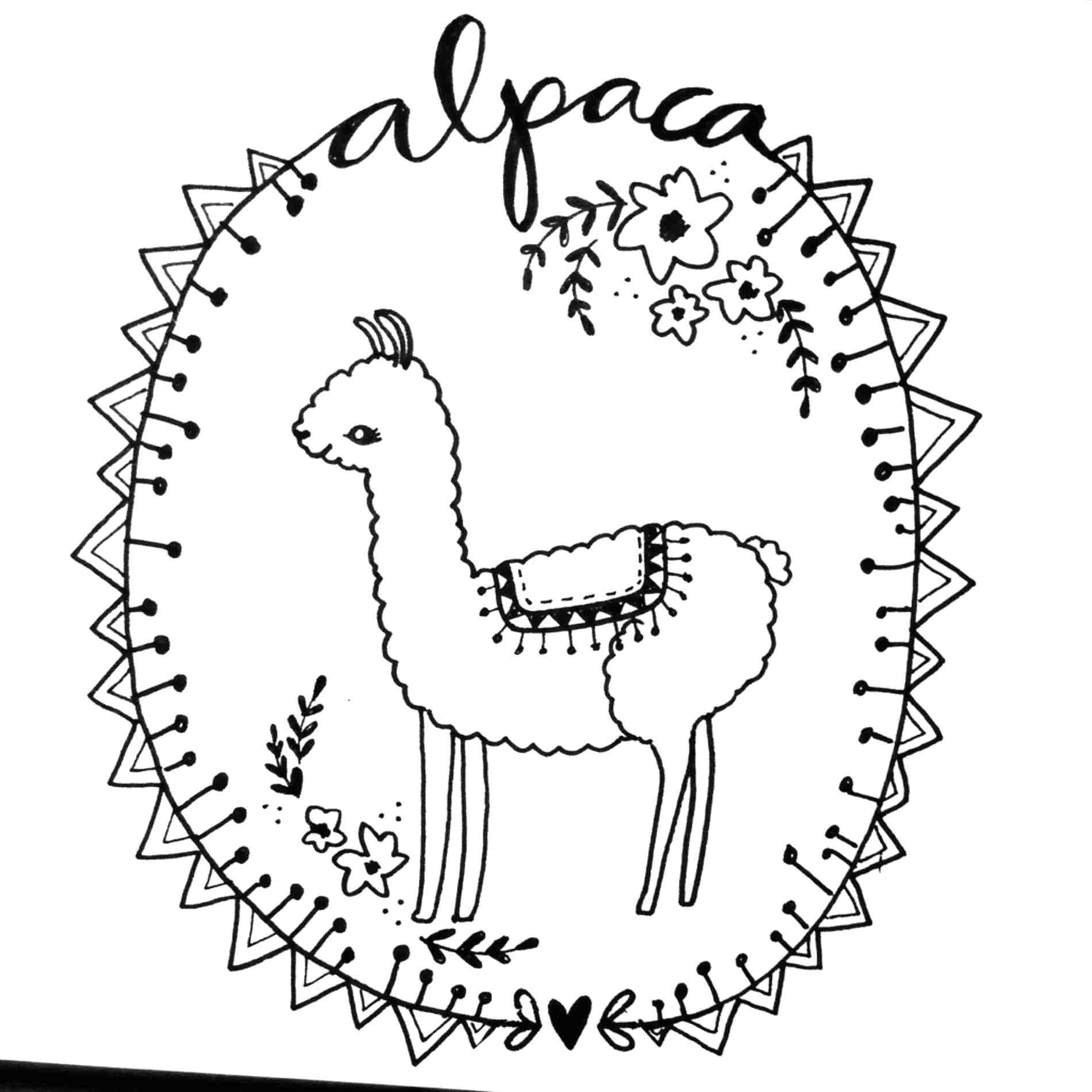 Classic Alpaca Coloring Coloring Page