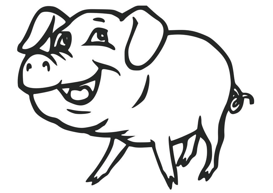 Cute Baby Pig Coloring Pages For You