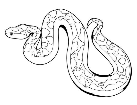 Free Anaconda Coloring Pages