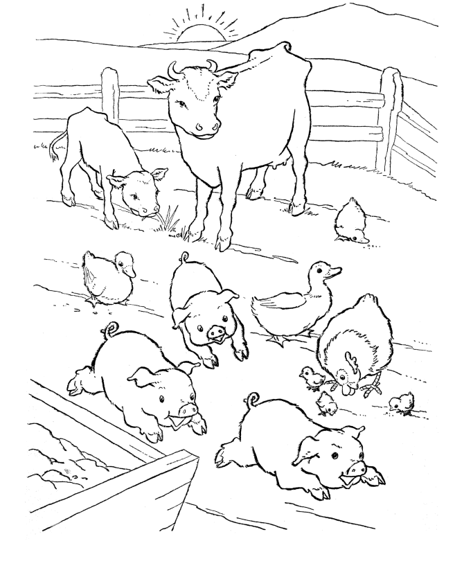 Happy Multi Babies Pig