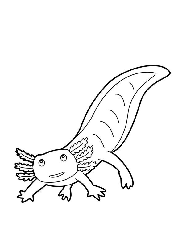 Long Axolotl Wooper