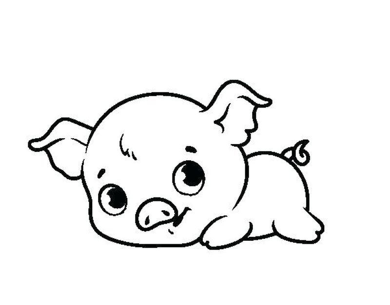 Cute Baby Pig Take Bath Coloring Picture