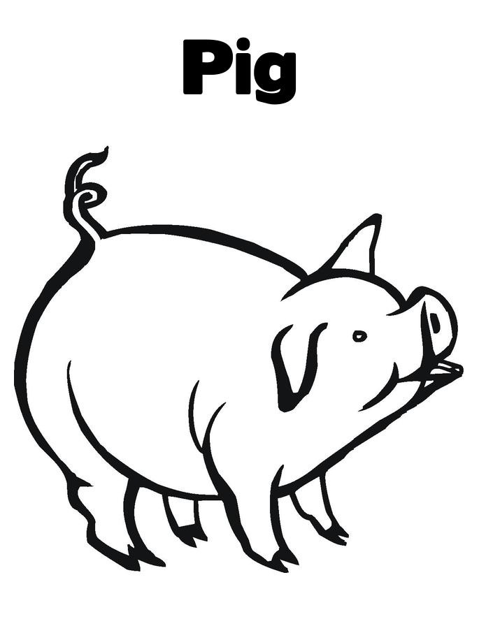 Baby Pig Waiting To Eat Coloring Page