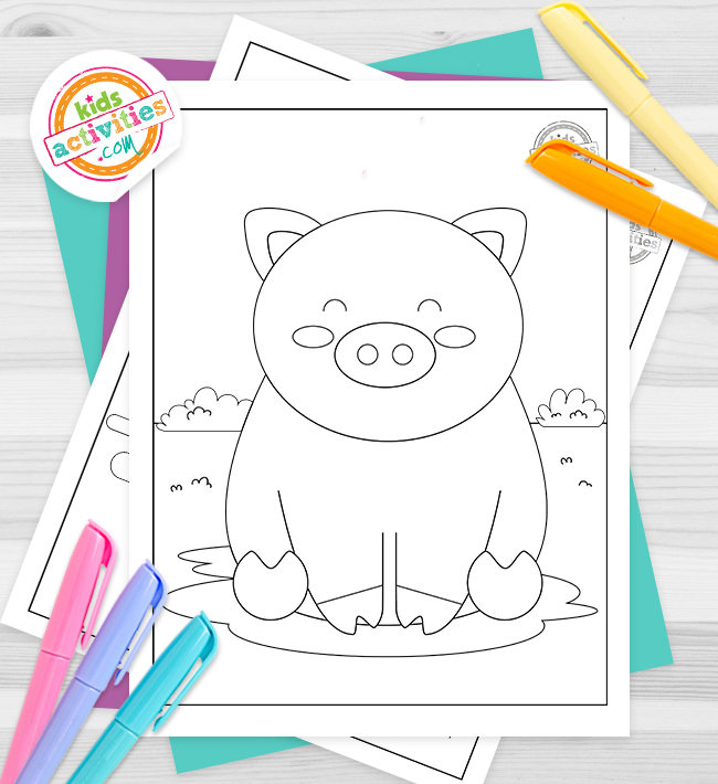 Baby Pig Feature Image