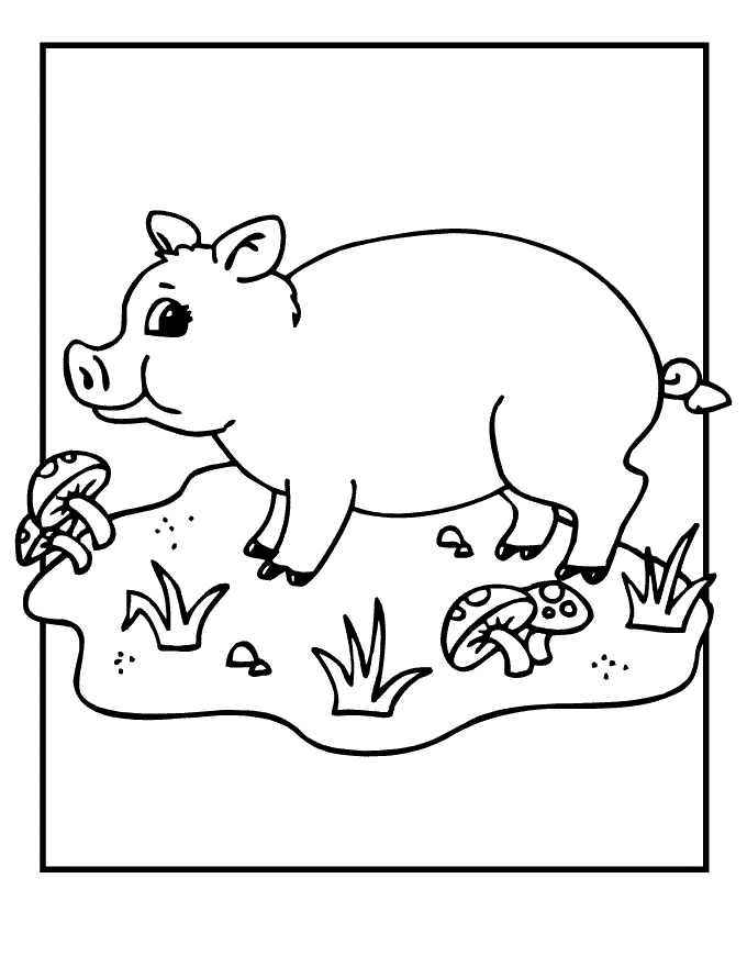 Baby Pig Coloring Pages For Kids Online