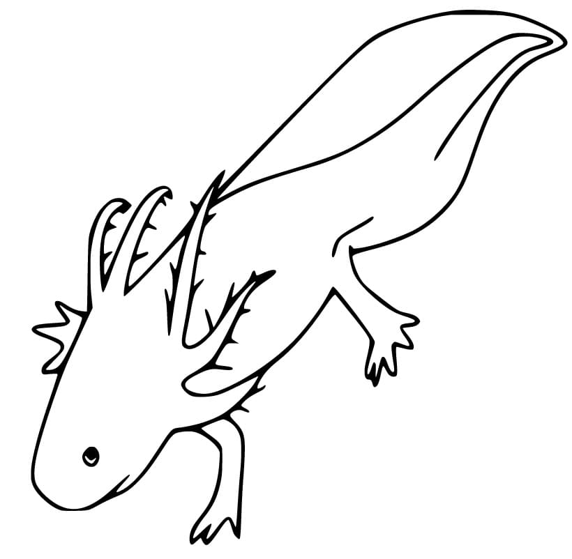 Axolotl Wooper Plunge