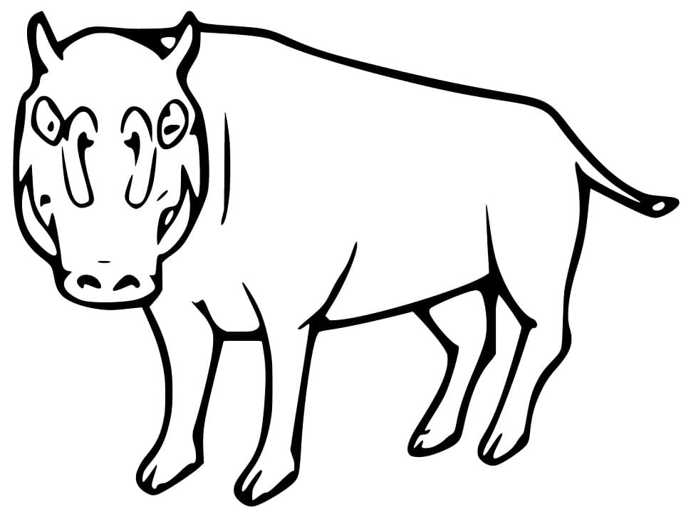 Simple Babirusa Coloring Page Coloring Page