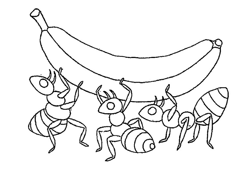 The Ants Carry Banana Coloring Page